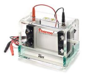 Owl Dual-Gel Vertical Electrophoresis Systems from Thermo Scientific