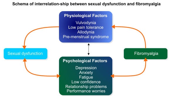 Schema of interrelation-ship between sexual dysfunction and fibromyalgia