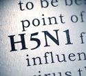 AI reveals how H5N1 virus is evolving to evade human immunity