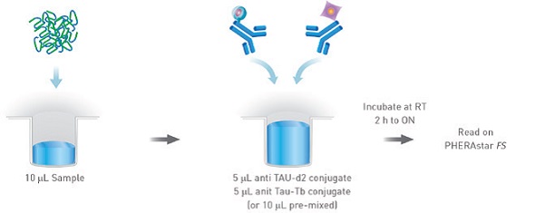 HTRF® mix and measure protocol