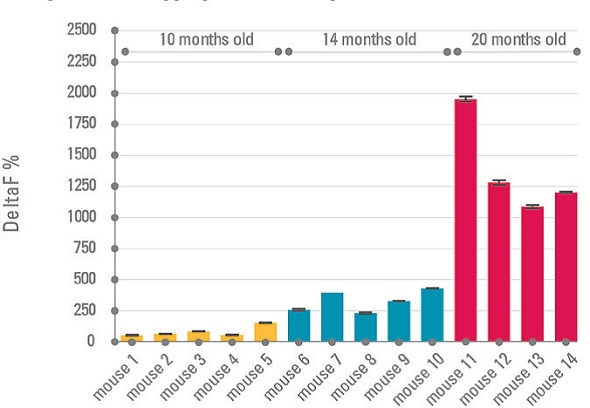Tau aggregation of transgenic mouse brain extracts