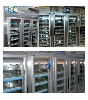 BlueLine K-LAB Premanufactured Vertical Refrigerators and Freezers from KW Apparecchi Scientifici
