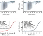 Using MicroCal PEAQ-ITC Automated Systems in Drug Discovery and Development Project