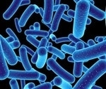 DTU researchers discover gut bacteria link to reduced allergy and asthma risk