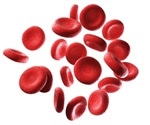 Gut microbial imbalance linked to chronic sickle cell disease pain