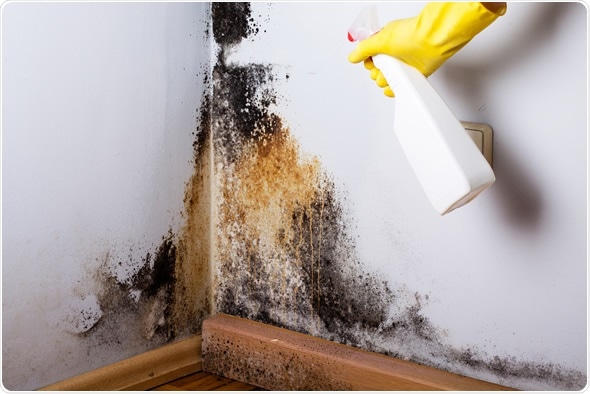 Image Copyright: Cegli / Shutterstock