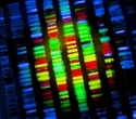 Refined DNA sequencing tool reveals hidden mutations behind aging and cancer