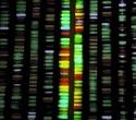 Whole-genome sequencing improves PARP inhibitor treatment prediction