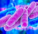Griffith study finds Legionella exposure extends beyond air conditioners
