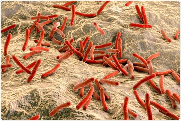 3D illustration - Mycobacterium leprae bacteria inside human body, close-up view. Bacteria which cause leprosy. Image Credit: Kateryna Kon / Shutterstock
