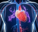 Heart failure care gaps found among Asian American ethnic groups