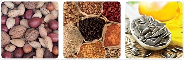 Oil and Moisture Determination by minispec on various Types of Samples