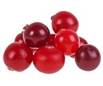Cranberry extracts may improve intestinal microbiota and help prevent chronic diseases
