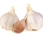 Consumption of garlic reduces level of potential carcinogenic processes