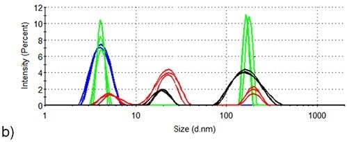 DLS of lysozyme at three different temperature points in the SLS thermal profile. Blue: room temperature; Green: 71.5°C; Red: 76.5°C; Black: 84.0°C. (a) Lysozyme in pH 7.0 10mM phosphate buffer (b) Lysozyme in pH 7.0 10mM phosphate buffer containing 50mM arginine.