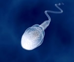 Small RNAs can play critical roles in male infertility/contraception