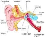 Causes of Tinnitus