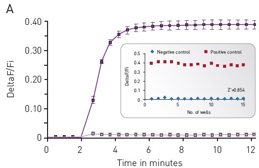 Green-cADDis sensor kinetics for (A) upward sensor and (B) downward sensor in response to isoproterenol Mean +/- std; n = 15 wells. Inset: Gs assay performance in 96-well plate. For (A) Upward sensor Z’ factor is 0.854. For (B) downward sensor Z’ factor is 0.941.