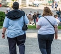 Alzheimer's disease blood biomarkers increase up to 95% faster in obese individuals