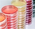 HCV medications' side effects can now be replicated and observed in Petri dishes and test tubes