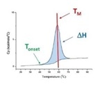 Using Differential Scanning Calorimetry for Biosimilarity and Batch-to-Batch Comparability
