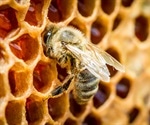 Pennsylvania physicians urge residents to take precautions against bug bites, bee stings