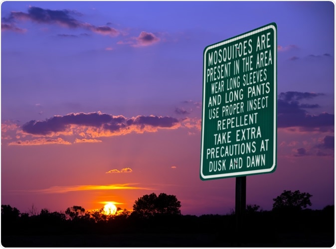 Image Credit: By Leena Robinson / Shutterstock