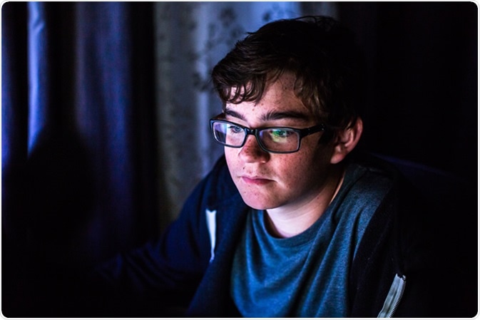 Image Credit: Arina P Habich / Shutterstock