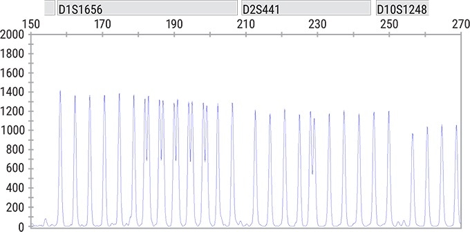 Spectrum Compact Achieves a 1bp resolution as can be seen in the D1S1656 and D2S441 loci in the PowerPlex® Fusion 6C System Allelic Ladder. Injection was performed at 1.2 kV for 8 seconds.