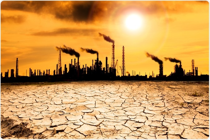 Loss of dietary protein from food as carbon dioxide emissions fail to fall - warn researchers. Image Credit: Tom Wang / Shutterstock