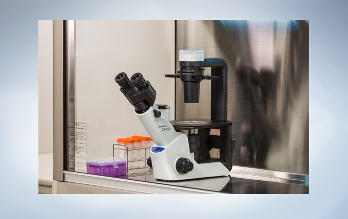 CKX53 fits perfectly in a clean bench environment