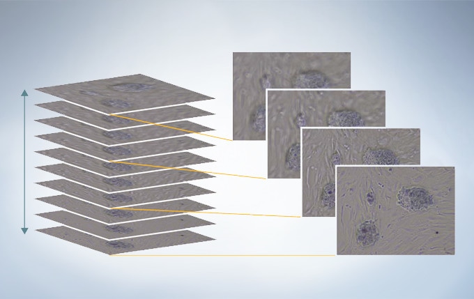 Experience 3D Views Driven by the “Inversion Contrast” (IVC) Technique