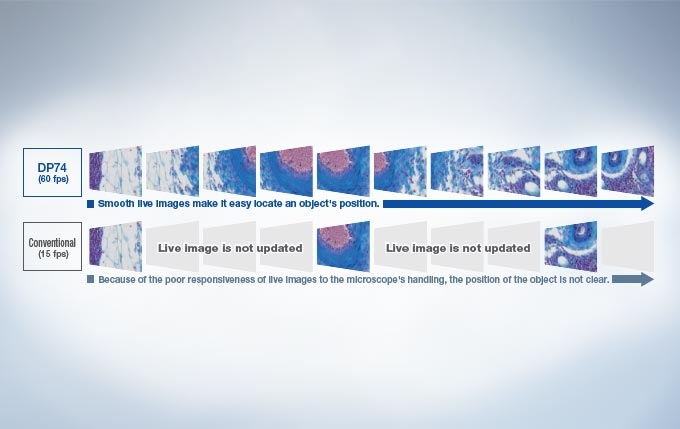 Full HD Images of Live Specimens are Fast and Simple to Acquire