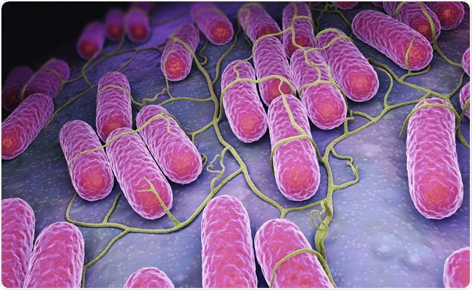 Culture of Salmonella bacteria. 3D illustration. Image Credit:  Tatiana Shepeleva / Shutterstock
