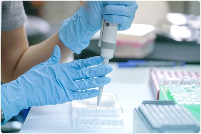 Image Credit: Choksawatdikorn / Shutterstock