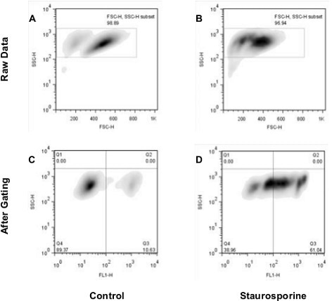 Nuclear Condensation Assay Kit (ab139479): Flow cytometry analysis of untreated staurosporine-treated Jurkat cells. The raw data shown in panels A and B was used for gating cell populations (rectangles) for analysis. Panels C and D represent the separation of healthy and apoptotic nuclei based on their characteristic fluorescence.