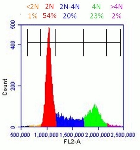 Healthy population of HeLa cells analyzed with Propidium Iodide Flow Cytometry Kit (ab139418): Flow cytometer software was used to establish markers on a histogram plot to quantify the percentage of cells with <2N (dead cells), 2N (G1 phase), 2N-4N (S-phase), 4N (G2 phase) and >4N (M phase) content.