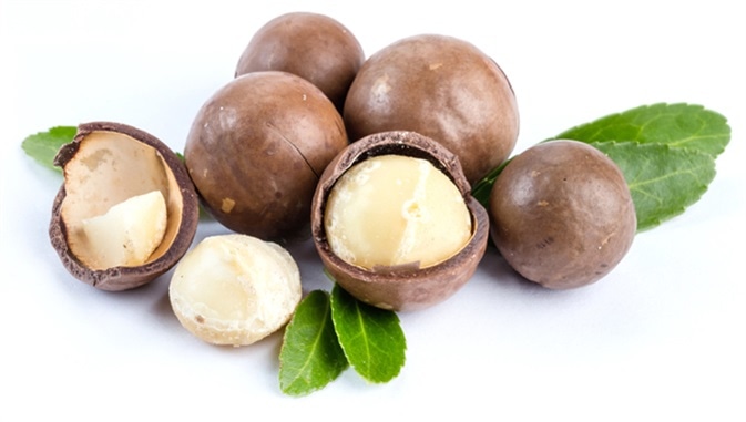 Macadamia nuts. Image Credit: KarepaStock / Shutterstock