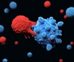Study sheds light on mechanisms that prevent autoimmune attack
