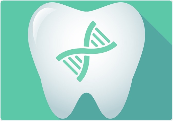 Tooth with DNA (genes) in the centre - an illustration by Blablo101 Tooth with DNA (genes) in the centre - an illustration by Blablo101