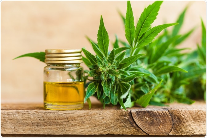 CBD oil next to cannabis plant (origin) - photo By ElRoi CBD oil next to cannabis plant (origin) - photo By ElRoi