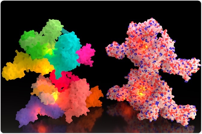 By Oleg Nikonov By Oleg Nikonov