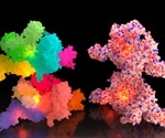De Novo Protein Structure Prediction