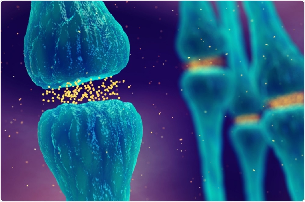 Synapse showing neurotransmitters -illustration by nobeastsofierce