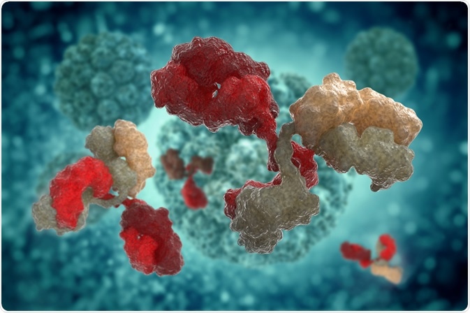 vitstudio - antibodies vitstudio - antibodies