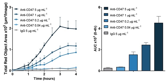 Cell proliferation assays