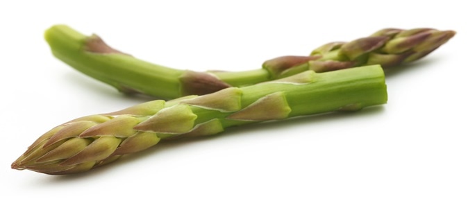 Image Credit Swapan Photography / Shutterstock