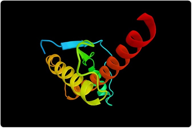 Human prion (3d model). Prion is an infectious agent that can fold in multiple, structurally distinct ways and can cause neurodegenerative disease. Image Credit: ibreakstock / Shutterstock