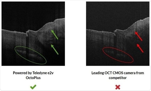 Images captured using Wasatch Photonics Cobra S spectrometer