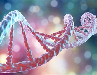 UC San Diego project aims to bioprint patient-specific transplantable human livers